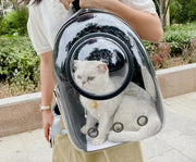 Transparent Pet Travel Backpack – Space Capsule Carrier for Cats & Small Dogs