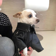 Eagle Print Dog Jacket – Faux-Leather Look Outdoor Coat