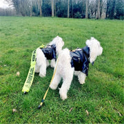 Eagle Print Dog Jacket – Faux-Leather Look Outdoor Coat