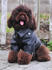 Eagle Print Dog Jacket – Faux-Leather Look Outdoor Coat