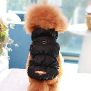 Warm Padded Dog Jacket – Cozy Everyday Winter Coat