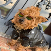 Eagle Print Dog Jacket – Faux-Leather Look Outdoor Coat