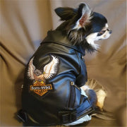 Eagle Print Dog Jacket – Faux-Leather Look Outdoor Coat