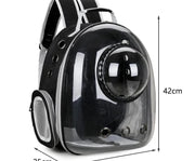 Transparent Pet Travel Backpack – Space Capsule Carrier for Cats & Small Dogs