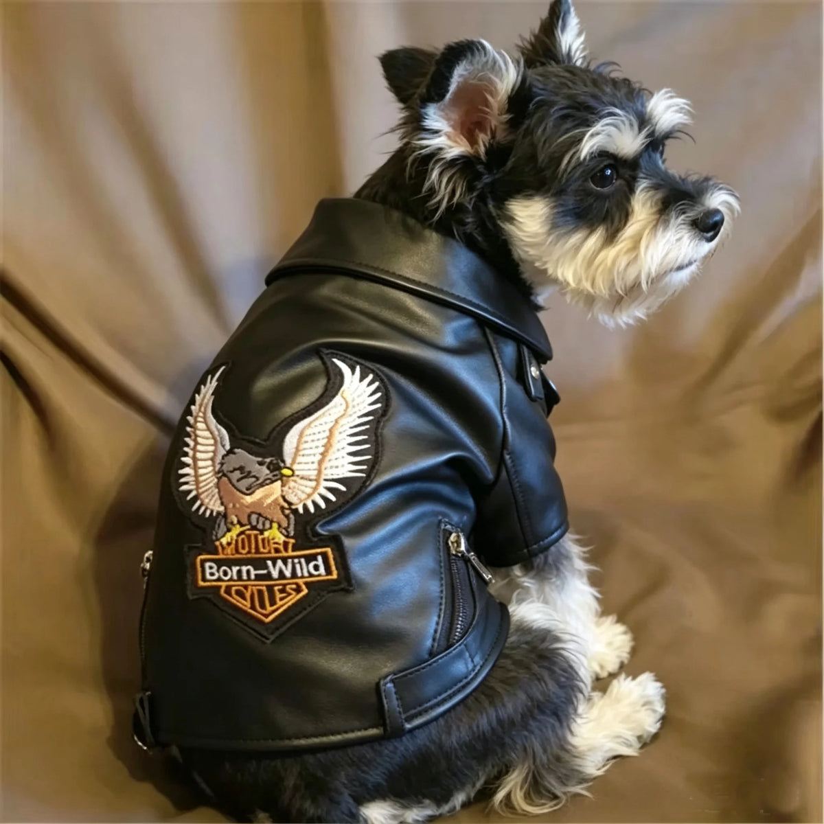 Eagle Print Dog Jacket – Faux-Leather Look Outdoor Coat