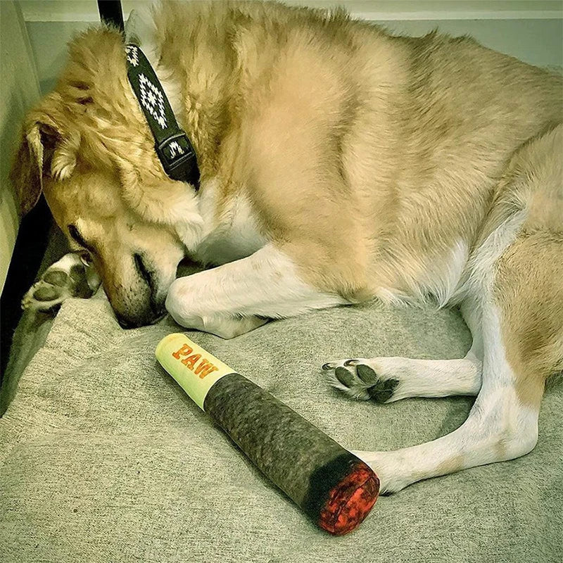 Cigar-Shaped Squeaky Dog Toy – Plush Interactive Play Toy