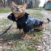 Eagle Print Dog Jacket – Faux-Leather Look Outdoor Coat