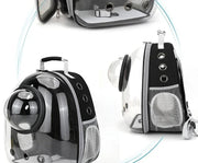 Transparent Pet Travel Backpack – Space Capsule Carrier for Cats & Small Dogs