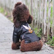 Eagle Print Dog Jacket – Faux-Leather Look Outdoor Coat