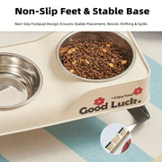 Elevated Stainless Steel Pet Bowls – Double-Bowl Feeding Stand