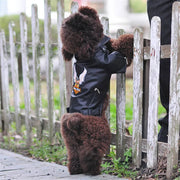 Eagle Print Dog Jacket – Faux-Leather Look Outdoor Coat