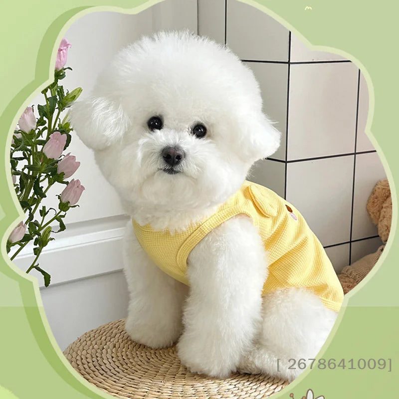 Bear Embroidered Dog Vest – Cute Everyday Walking Vest