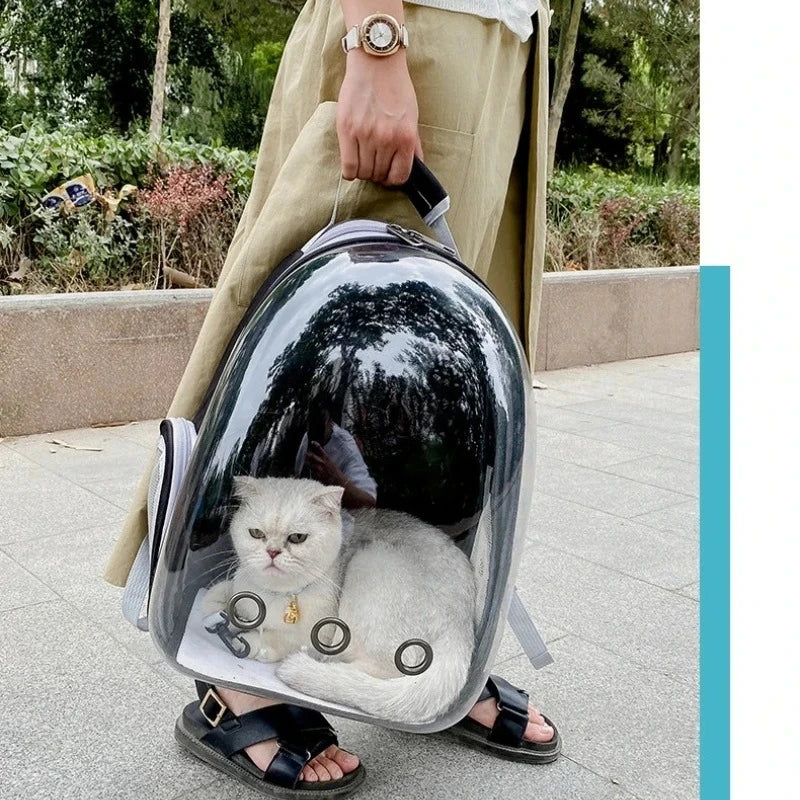 Transparent Pet Travel Backpack – Space Capsule Carrier for Cats & Small Dogs