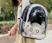 Transparent Pet Travel Backpack – Space Capsule Carrier for Cats & Small Dogs