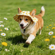 Summer Cat Sun Hat – Cute Lightweight Hat for Outdoor Days