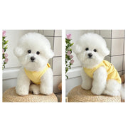 Bear Embroidered Dog Vest – Cute Everyday Walking Vest