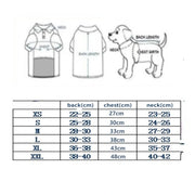 Eagle Print Dog Jacket – Faux-Leather Look Outdoor Coat