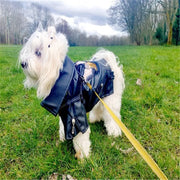 Eagle Print Dog Jacket – Faux-Leather Look Outdoor Coat