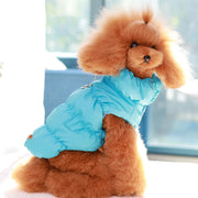 Warm Padded Dog Jacket – Cozy Everyday Winter Coat