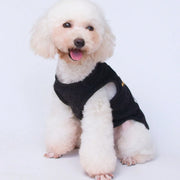 The Prince Has Arrived – Funny Printed Dog & Cat Vest