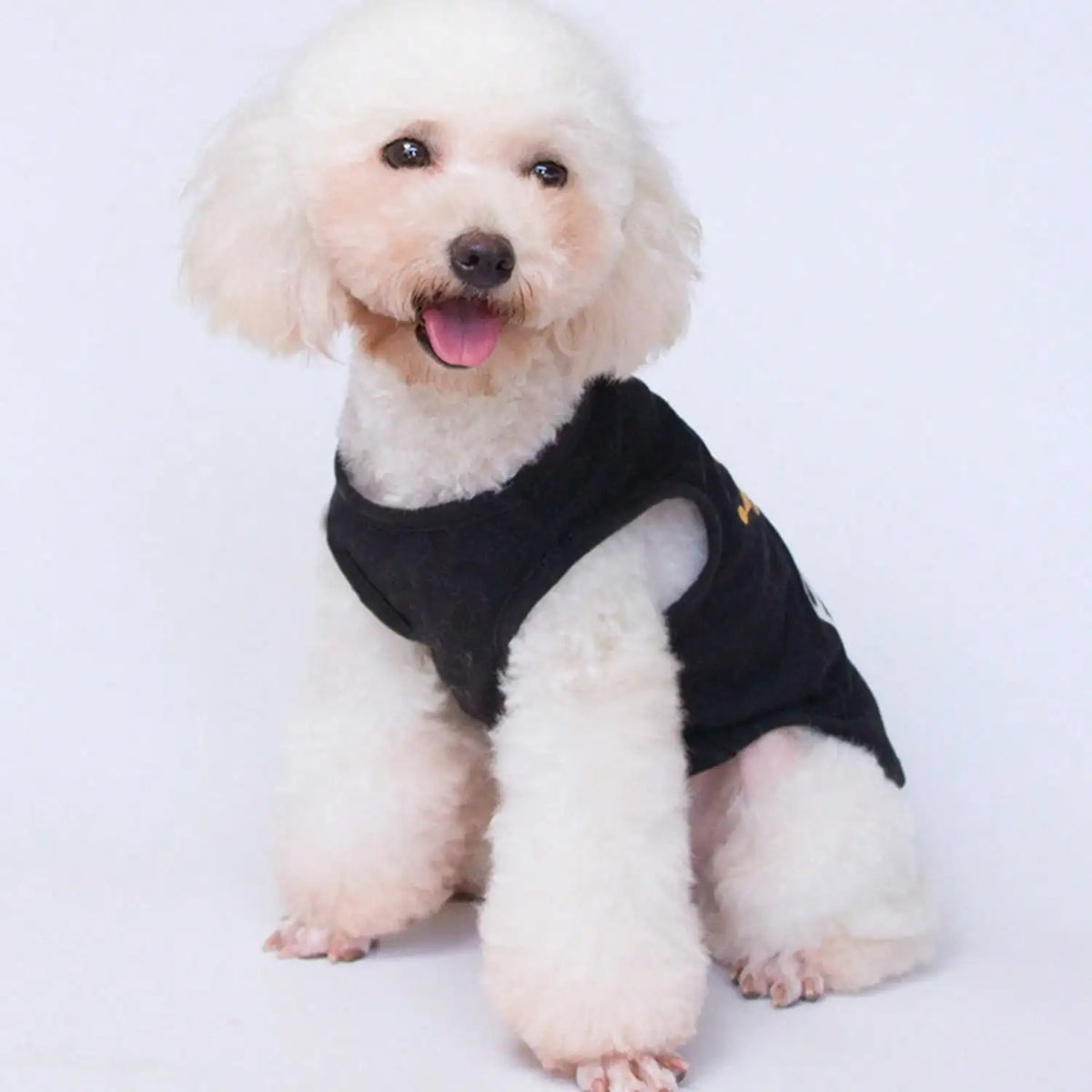 The Prince Has Arrived – Funny Printed Dog & Cat Vest