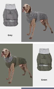 Reflective Dog Winter Jacket – Warm Padded Outdoor Coat
