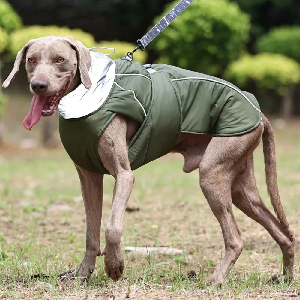 Reflective Dog Winter Jacket – Warm Padded Outdoor Coat
