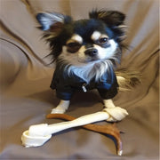 Eagle Print Dog Jacket – Faux-Leather Look Outdoor Coat