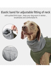Reflective Dog Winter Jacket – Warm Padded Outdoor Coat