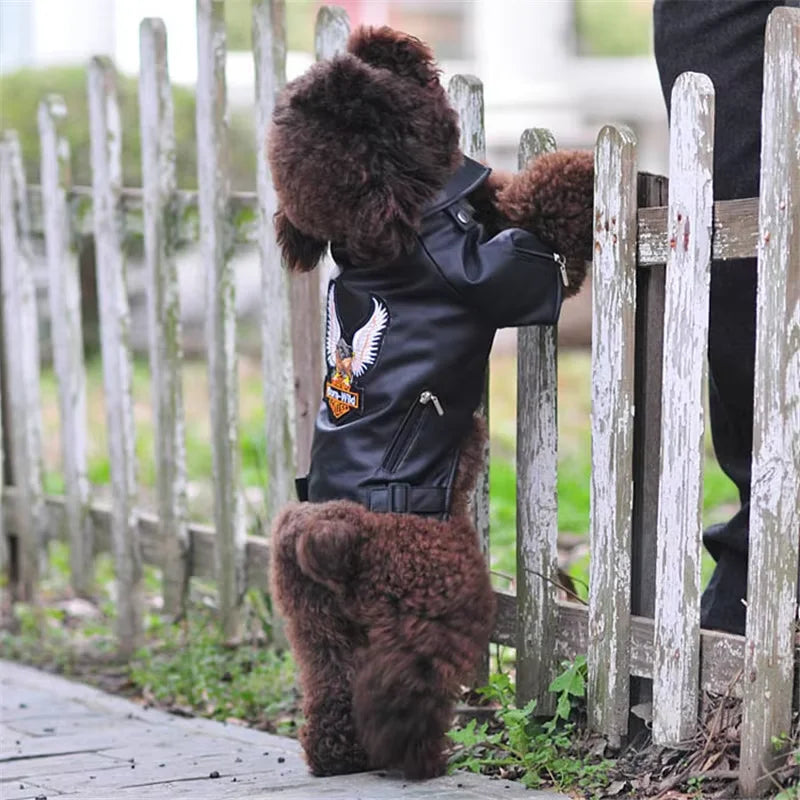 Eagle Print Dog Jacket – Faux-Leather Look Outdoor Coat