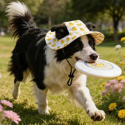 Summer Cat Sun Hat – Cute Lightweight Hat for Outdoor Days