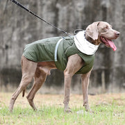 Reflective Dog Winter Jacket – Warm Padded Outdoor Coat
