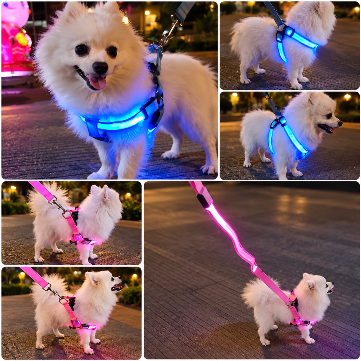 LED dog harness night walking lifestyle