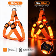 Orange LED dog harness before and illuminated